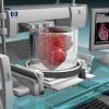Казанский учёный изобрёл «биопринтер» для тиражирования живых органов 