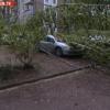 В Казани большое дерево упало на крайслер и дом (ВИДЕО) 