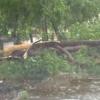 Ураган в Набережных Челнах и Альметьевске - горожане подсчитывают убытки (ФОТО)