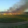 В одной из деревень Татарстана сгорела почти вся улица (ФОТО пожара)