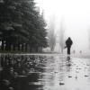 В Казани сохранится вероятность дождей и гроз (ПОГОДА)