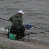 В Татарстане рыбак скончался от укуса шершня