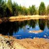 Природоохранная прокуратура проиграла процесс об очистке загрязнения в Дербышках
