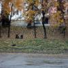 Золотая осень: прогулки в самом загадочном парке Казани (ФОТО)