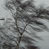 Синоптики предупреждают о явлении «очень сильный ветер» в Татарстане