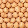  В Татарстане появились проблемы с хранением картофеля 