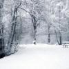 В ближайшие дни в Татарстане сохранится теплая для зимы погода