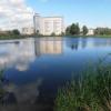 Озеро Харовое планируют благоустроить ко Дню города