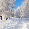 Завтра в Казани ожидается умеренно морозная ПОГОДА
