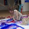 Челнинская художница нарисовала картину, искупавшись в краске (ВИДЕО)