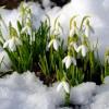 Снег в апреле: синоптики дают неутешительный прогноз погоды в Татарстане