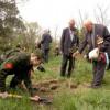 В Татарстане пройдет акция по посадке «патриотических» деревьев 