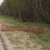 Обнаружены останки женщины на автодороге в Татарстане