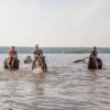 В Челнах из-за жары коней купают в Каме, но некоторые этим недовольны (ВИДЕО)