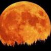 Дважды за лето Луна приблизится к Земле на ближайшее расстояние