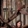 В зоопарке Казани оленю сломали рог