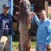 В Татарстане собираются запретить вылавливать сомов-гигантов