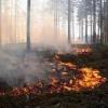 Мальчик из Татарстана с ожогами 90% тела скончался в Нижегородском НИИ