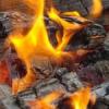 В Казани введен запрет на разжигание костров и использование мангалов