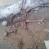 В кустах возле одного из домов Казани обнаружены скелетированные останки мужчины