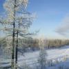 Морозы до 37 градусов ожидаются в Татарстане