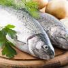 В Татарстане увеличилось количество случаев отравления рыбой