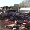 Смертельная авария в Татарстане: столкнулись несколько грузовиков (ФОТО)