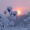 В Татарстане ночью похолодает до 18 градусов мороза