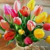 Сегодня цветы на рынках Казани можно купить по приемлемым ценам