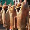 В Татарстане выявлена несанкционированная торговля вялеными гусями вдоль дороги