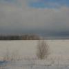 В Татарстане зафиксирован феномен: в разгар зимы на полях стала оттаивать земля