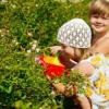 Лютый лютик: какие растения угрожают казанцам (ФОТО)