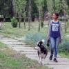 С собаками в Казани не разгуляешься