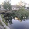 Казанцы шокированы вырубкой деревьев в парке Урицкого (ФОТО)