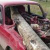 Дерево насквозь проткнуло «ВАЗ» под Пермью, пассажир погиб
