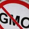 В России отказались от ГМО-продуктов