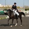 Директор казанской ДЮСШ по конному спорту: «С такими лошадями у нас нет шансов» (ФОТО)