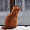Синоптики Татарстана предупреждают о дожде и мокром снеге