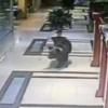 Медведь проломил головой двери торгового центра в Хабаровске (ВИДЕО)