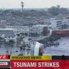 цунами в японии, казанцы в японии