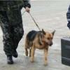 В Казани из-за сообщения о бомбе эвакуировали посетителей Сбербанка