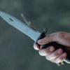 Сбежавший из психинтерната в Татарстане пациент ударил ножом зареченца