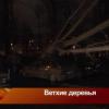 В Казани из-за сильного ветра на автомобили упали столб и дерево