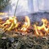 МЧС РТ опубликовало штормовое предупреждение о высокой пожарной опасности лесов