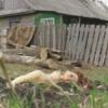 12-летняя девочка погибла в Татарстане от удара током