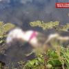 В Екатеринбурге полицейские привлекли водолазов для поиска головы убитой девушки