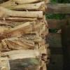 Новая загадка свела с ума интернет: найди кота на ФОТО с дровами