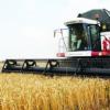 Урожай в Татарстане в этом году будет богаче, чем в прошлом