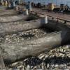 В рыбхозе Заинского района погибло 170 тонн рыбы – соцсети
