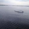 В Татарстане на Волге плавкран опрокинул резиновую лодку с двумя рыбаками (ФОТО)